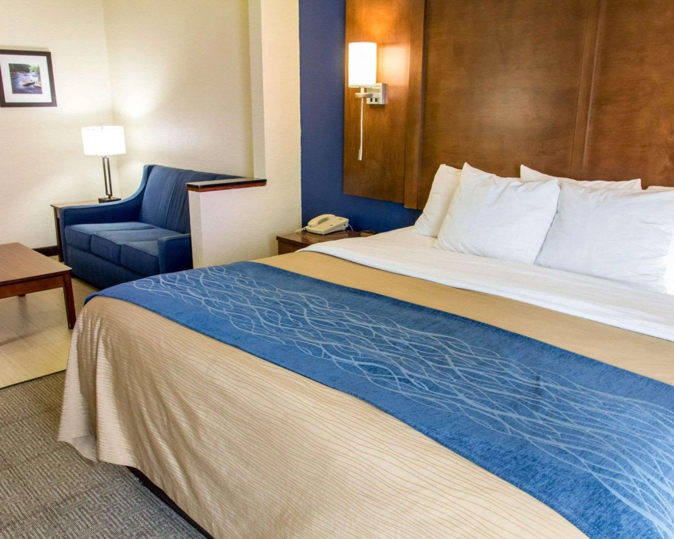 Comfort Inn & Suites Statesboro - University Area