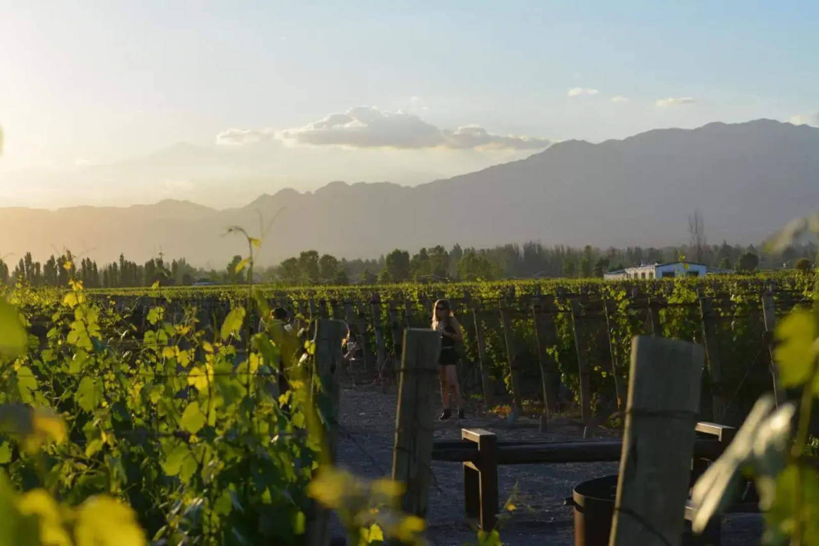 Viamonte Winery Lodge