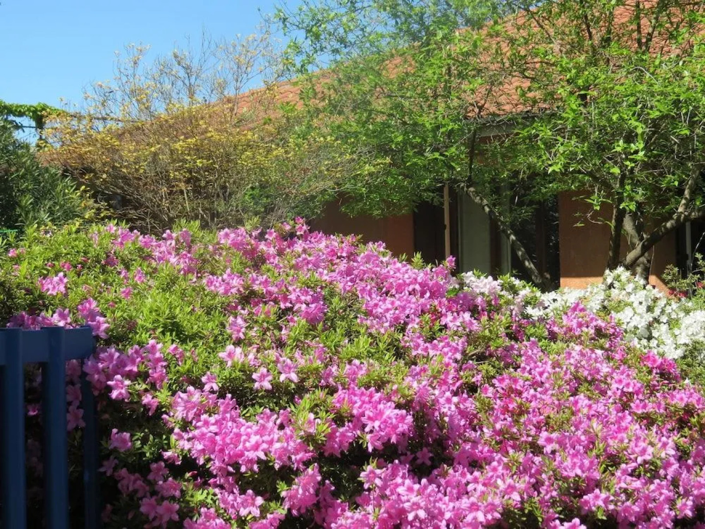 B&B Tana Della Volpe