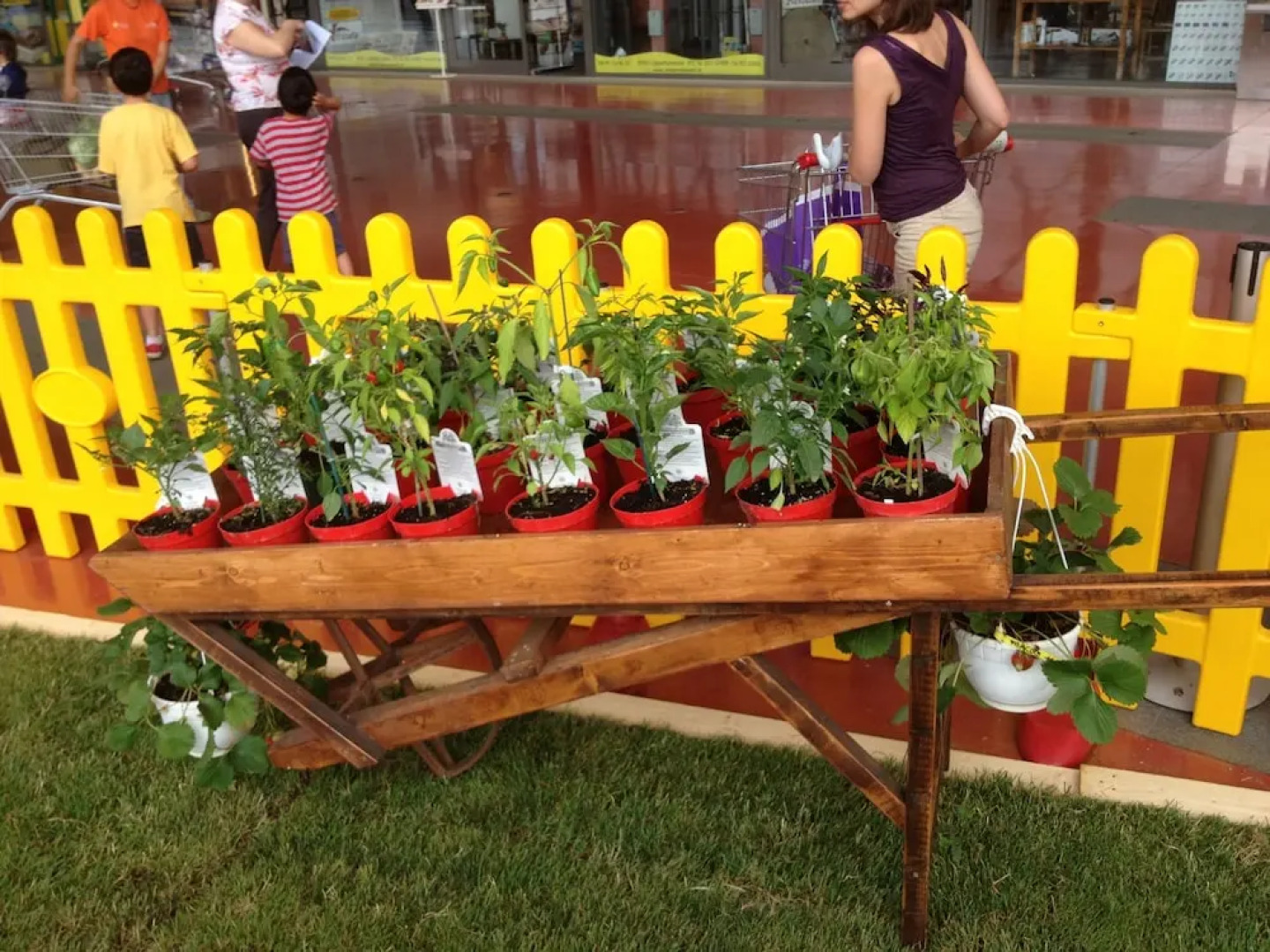 Agriturismo Le Baccane