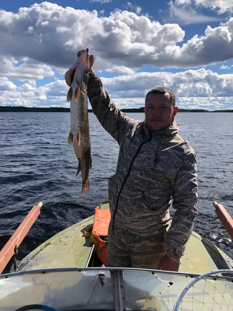 Медвежья лапа