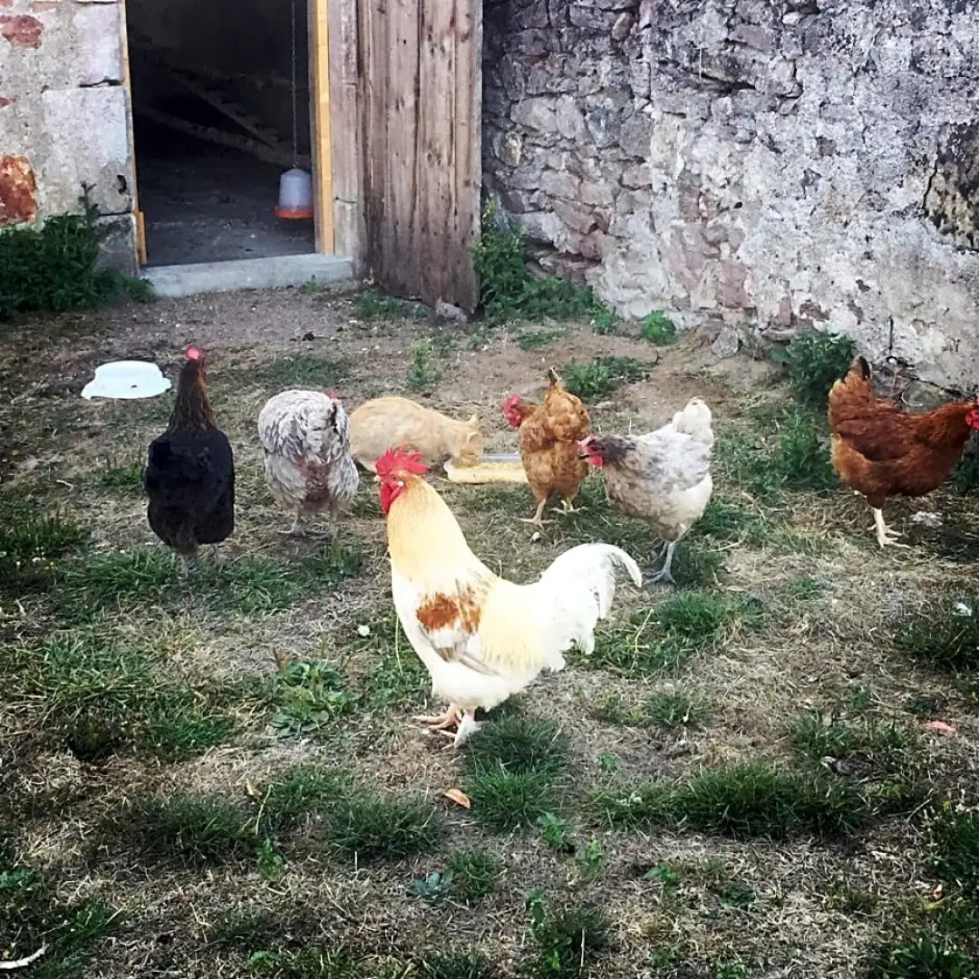 Domaine Les Grands Pérons