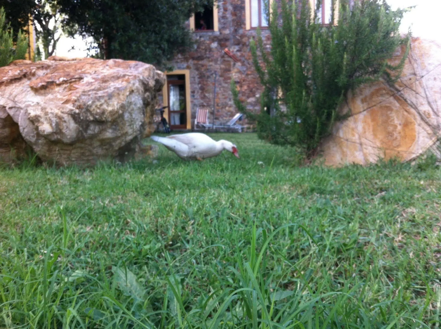 Agriturismo Bio Fattoria di Pietra