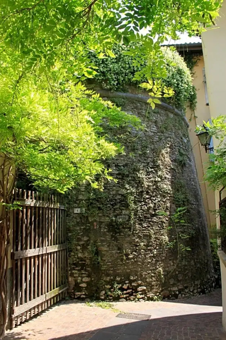 B & B Color Rovereto