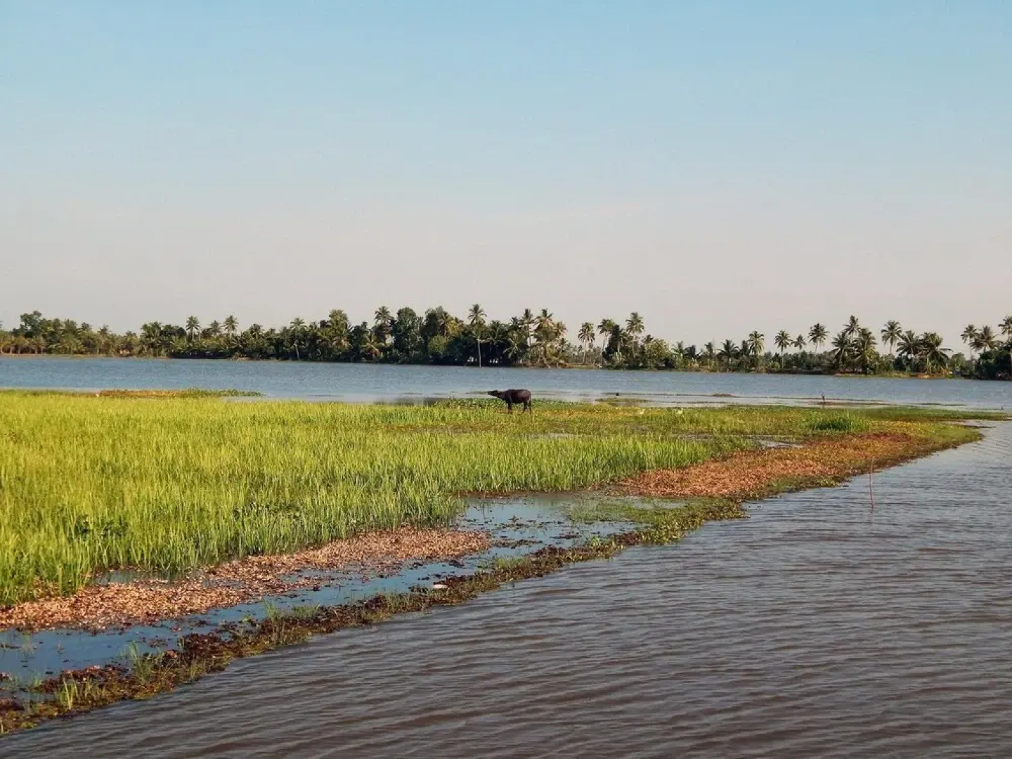 Backwater Retreat - Honeymoon House