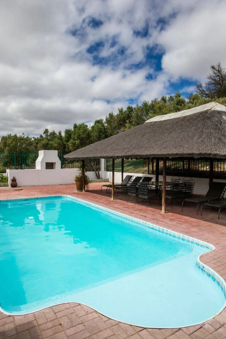 Olive Grove Guest Farm