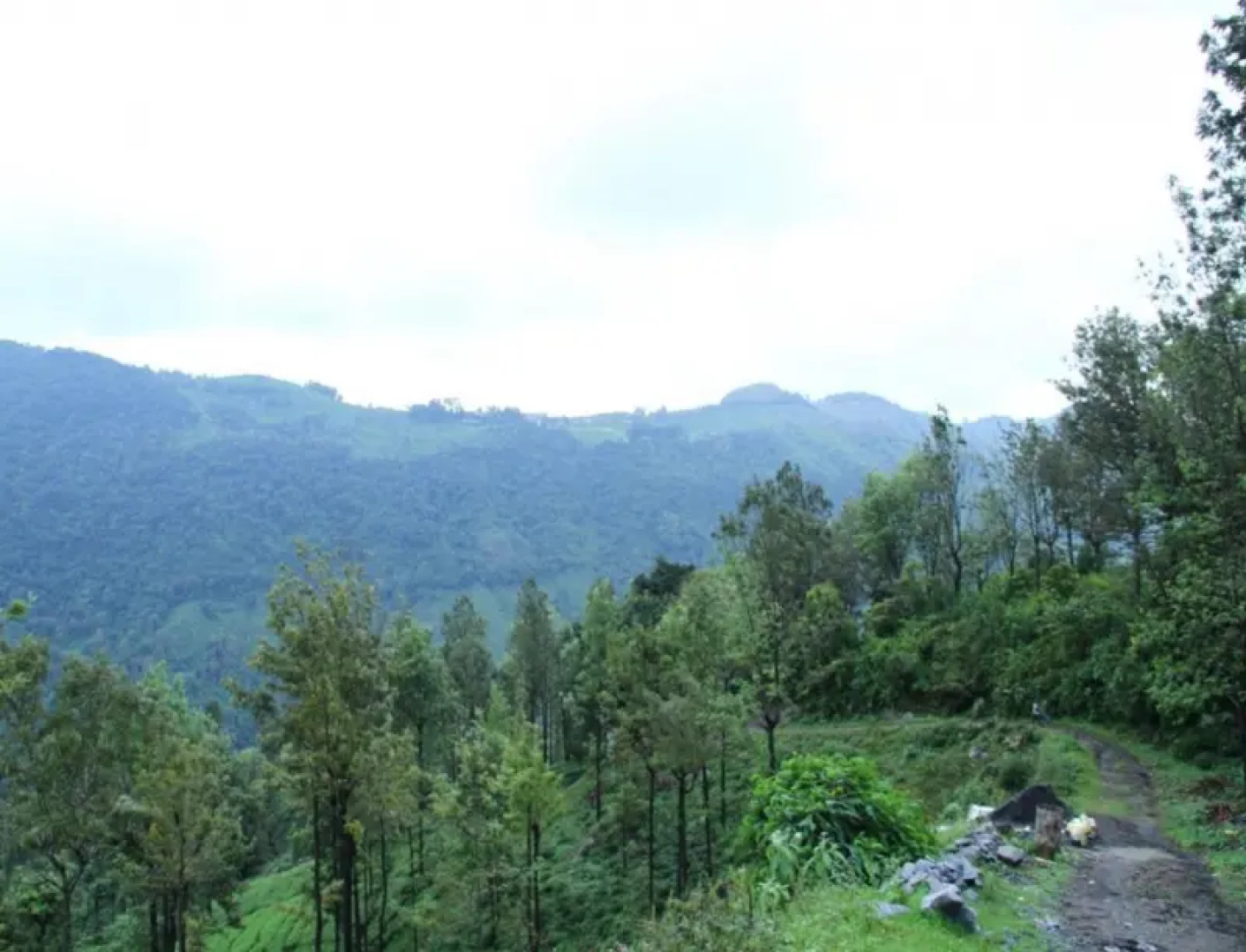 Coonoor Mountain Cottages by Lexstays