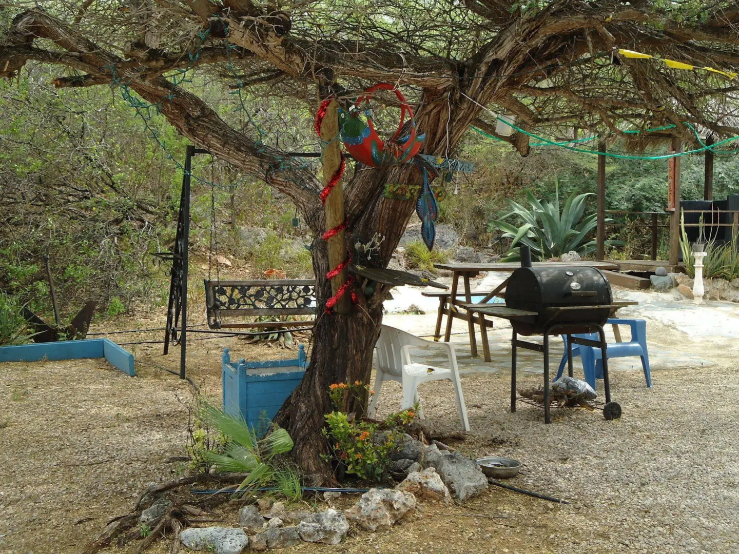 Sea Horizon Apartments (across from Mambo Beach)