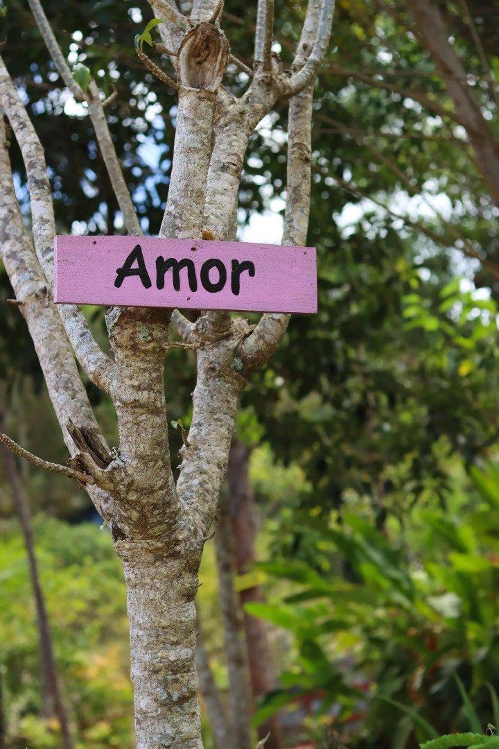 Pousada Casa do Lago