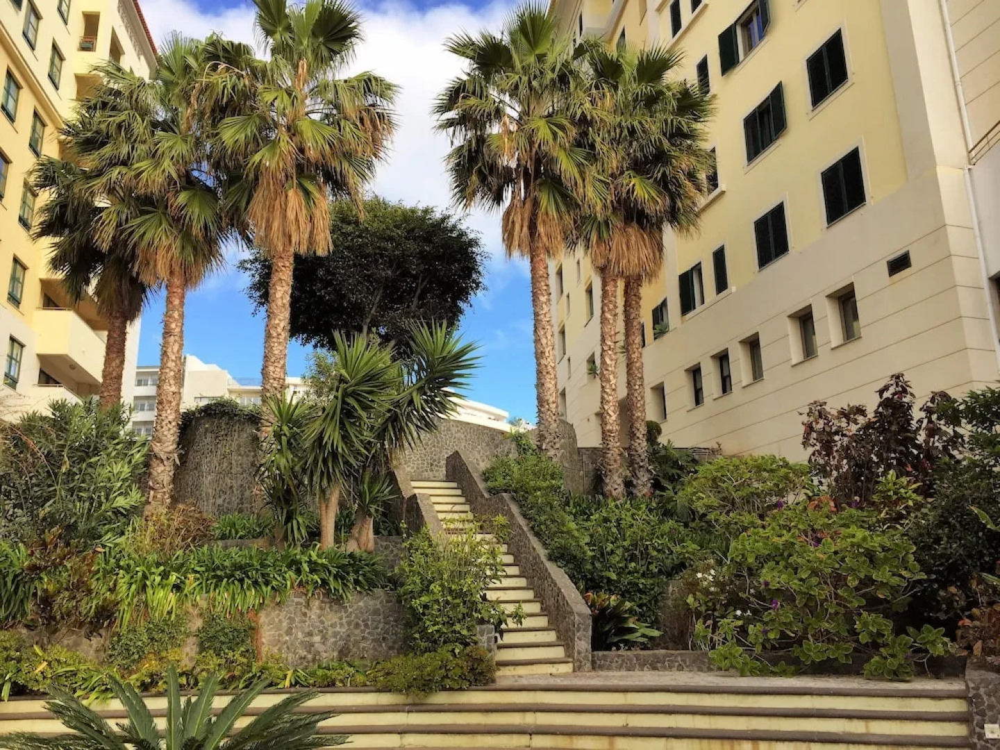 Superior Rentals IN Madeira