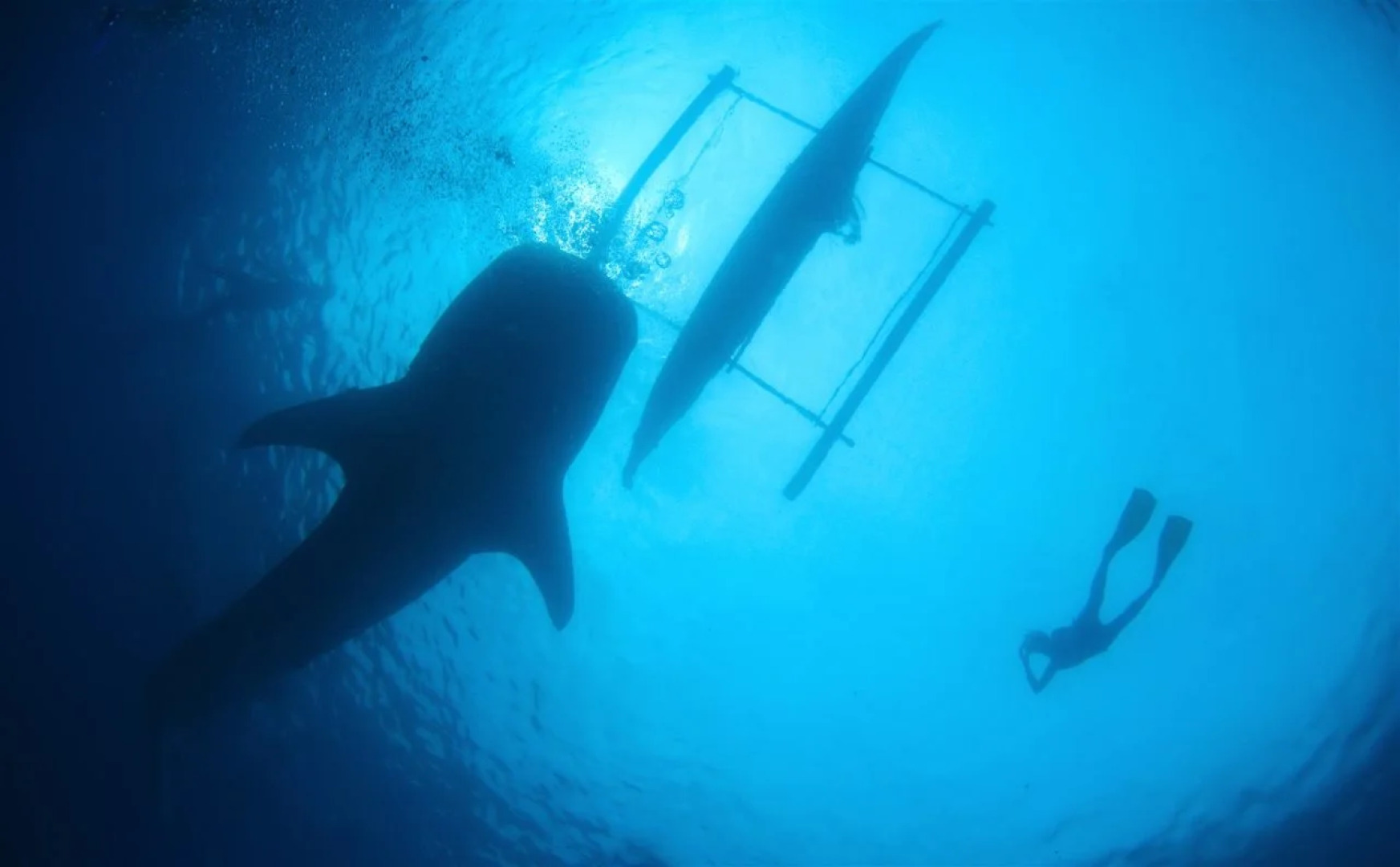 Stop n Shop Tourist Inn