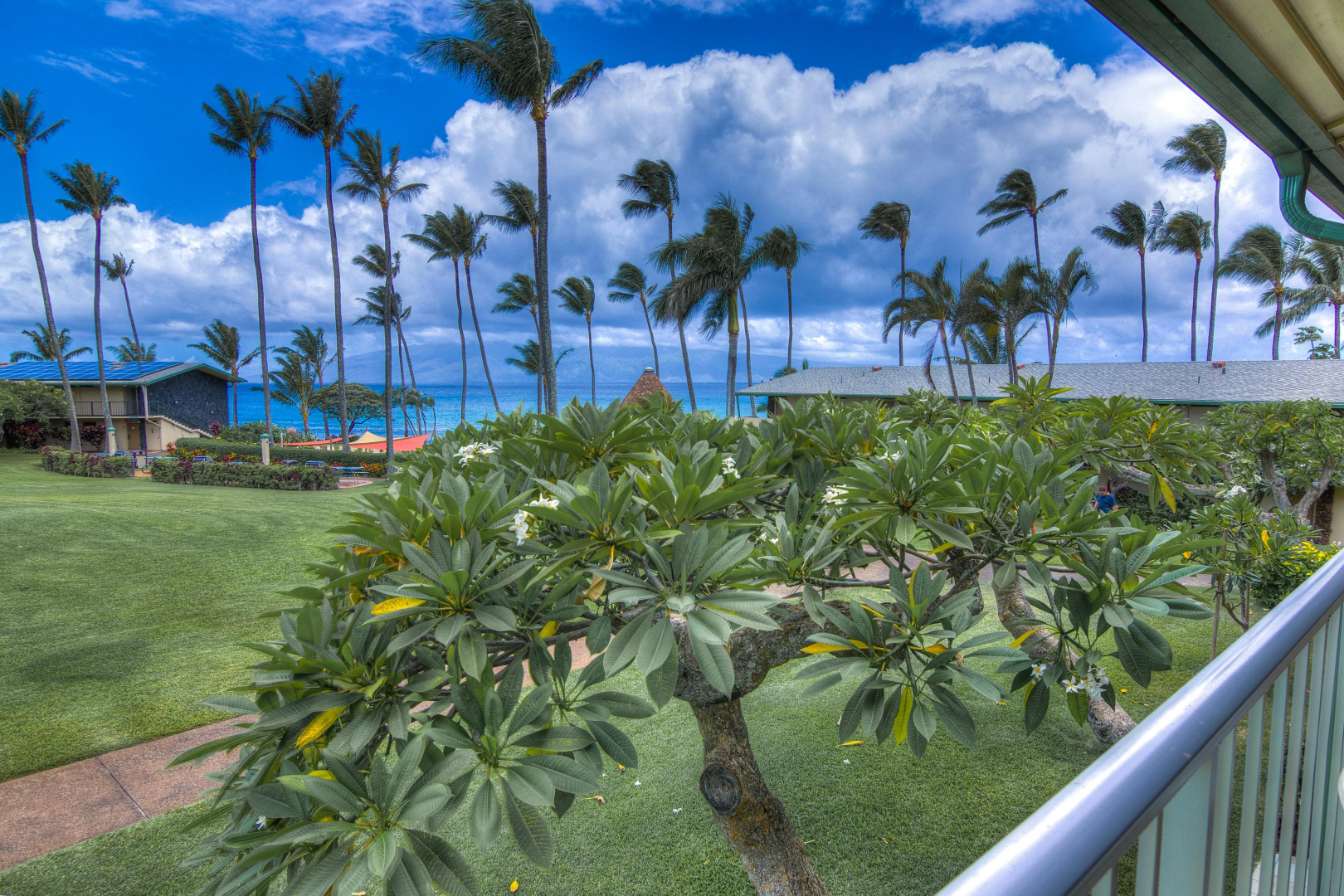 Napili Shores Maui by OUTRIGGER