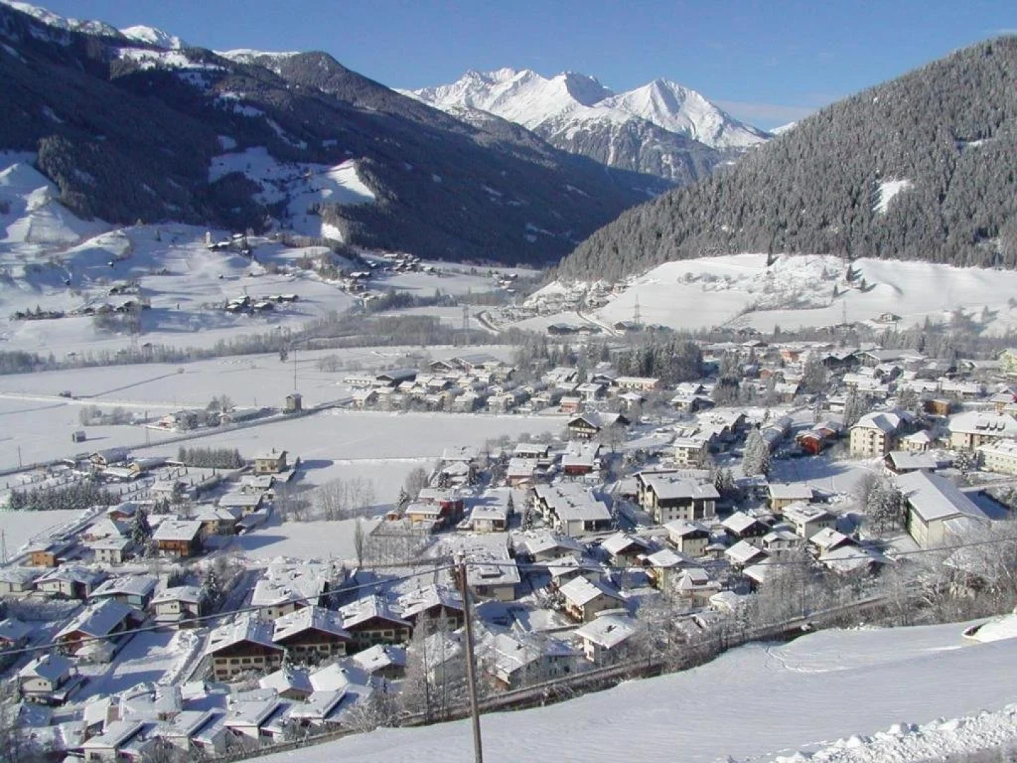 Haus Familie Steiner