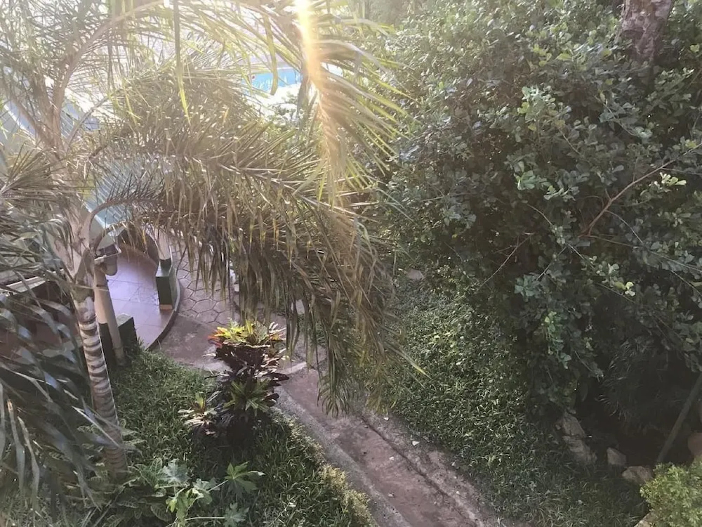 Pension Les Palmiers