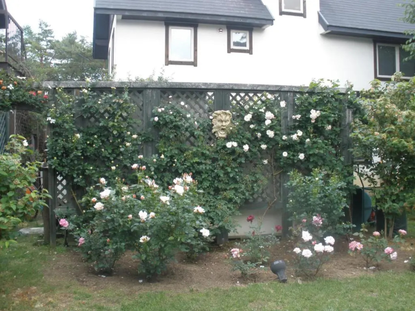 Petit Hotel & Restaurant Old Age