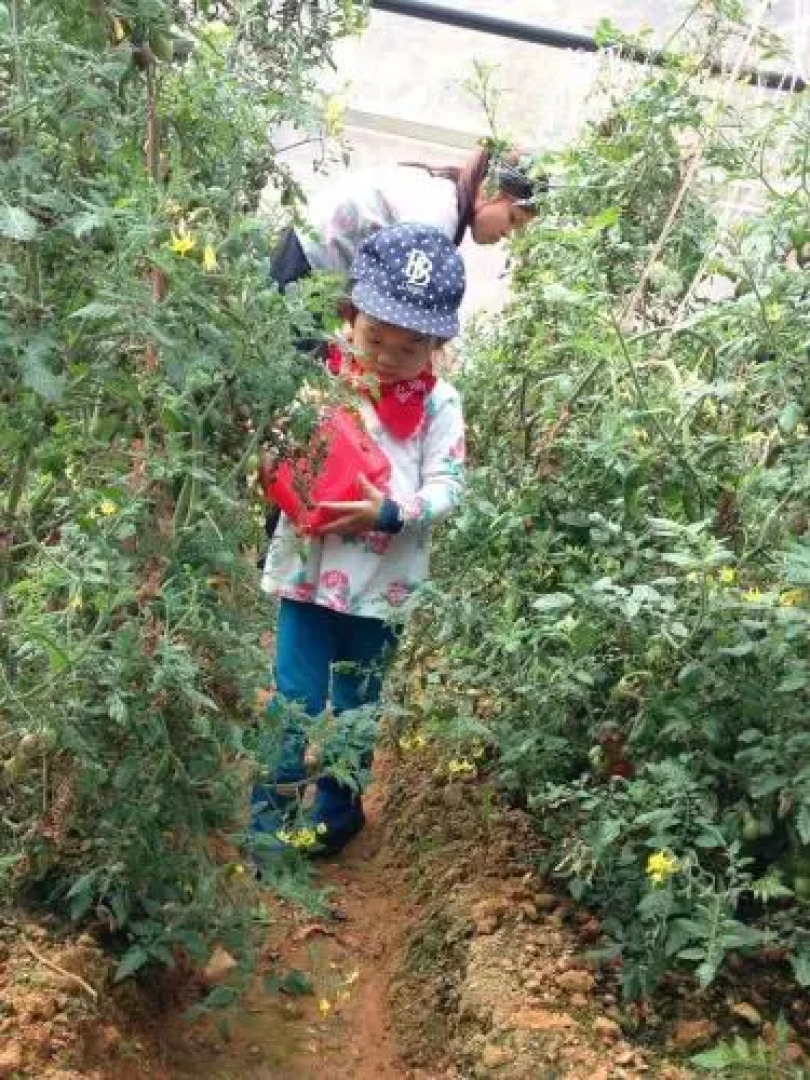 La An Dalat Resort & Spa