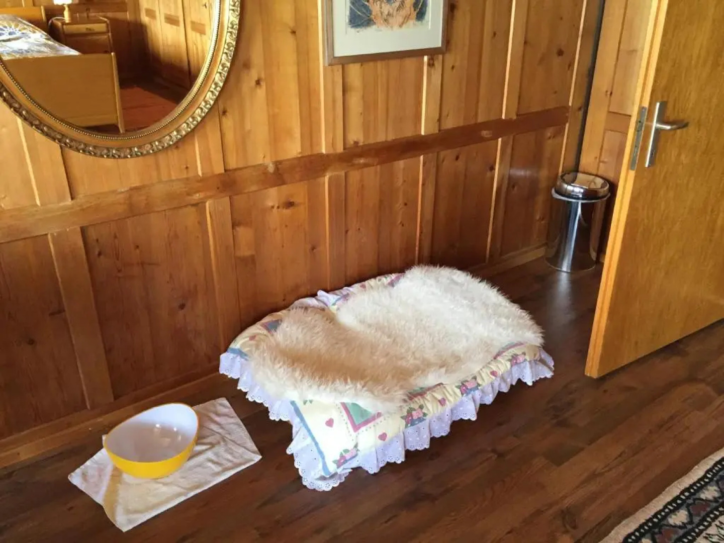 Wohlfühloase für Mensch und Hund