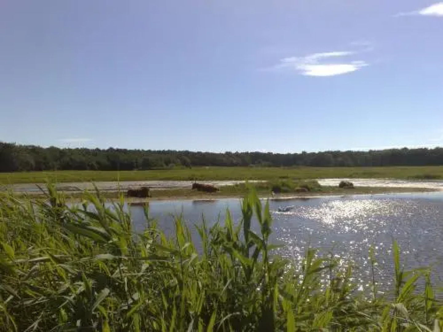 Apartment Boven Jan 572