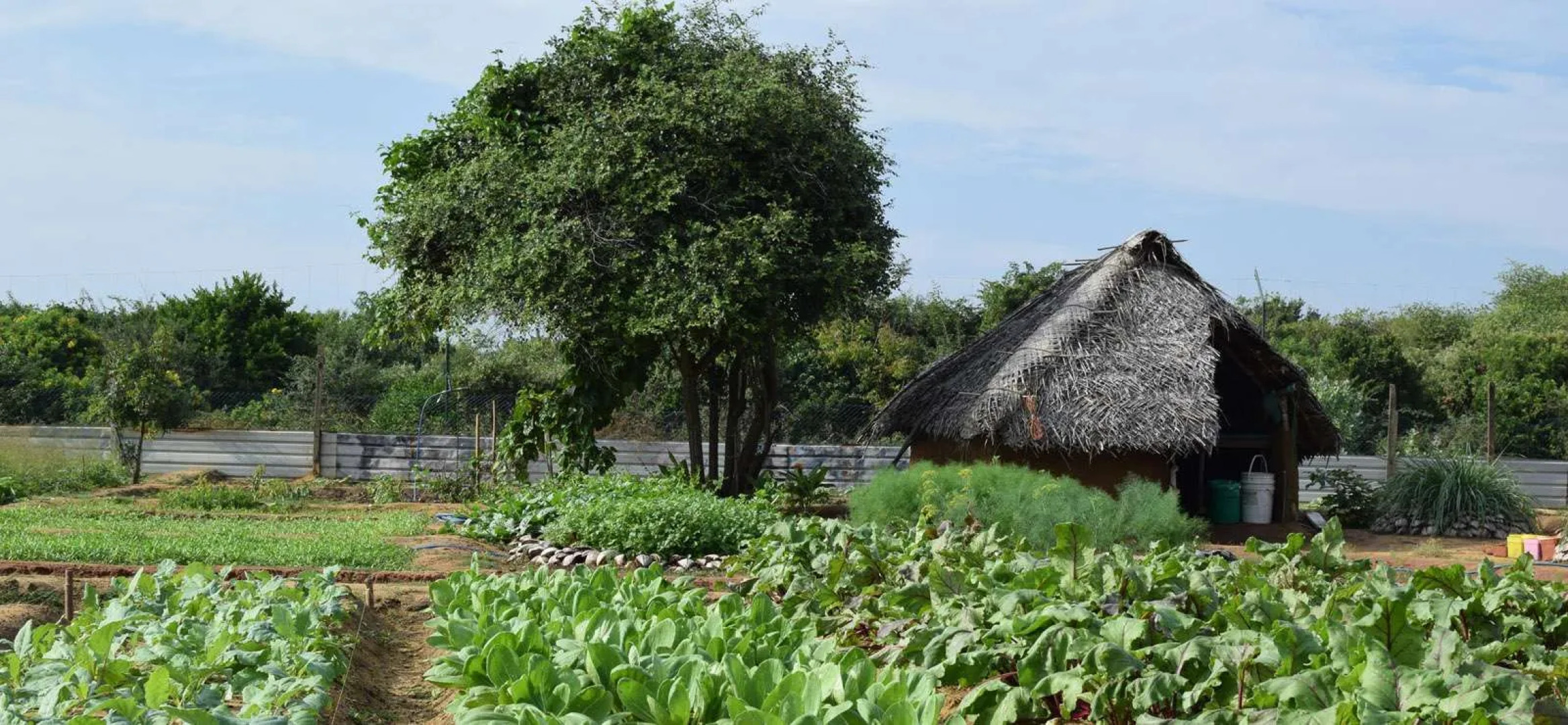 Jetwing Safari Camp - All Inclusive