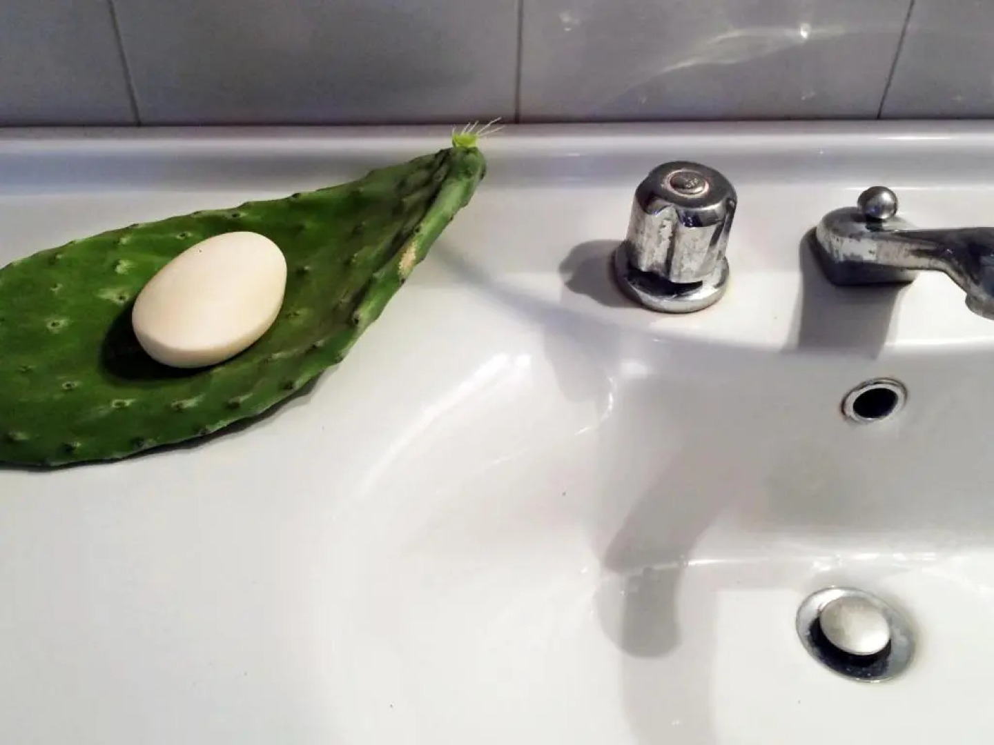 Terrazze Fronte Mare e Vulcano