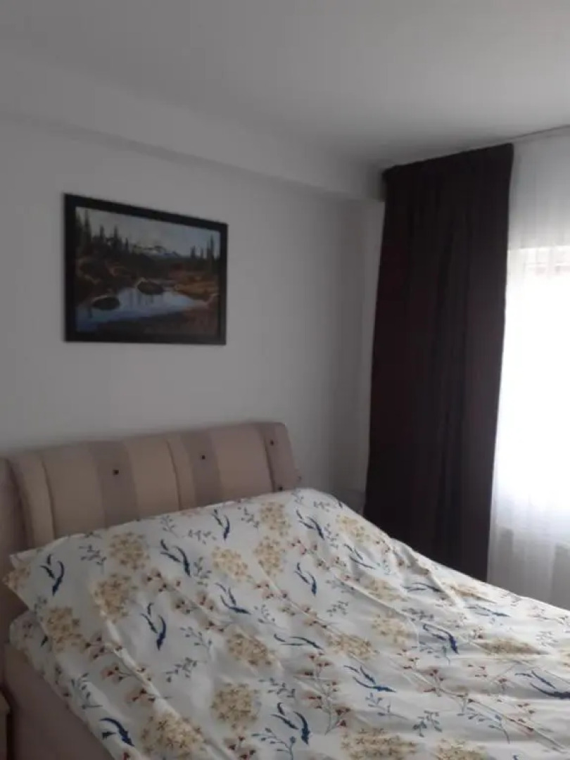 Apartament confortabil în Bucovina