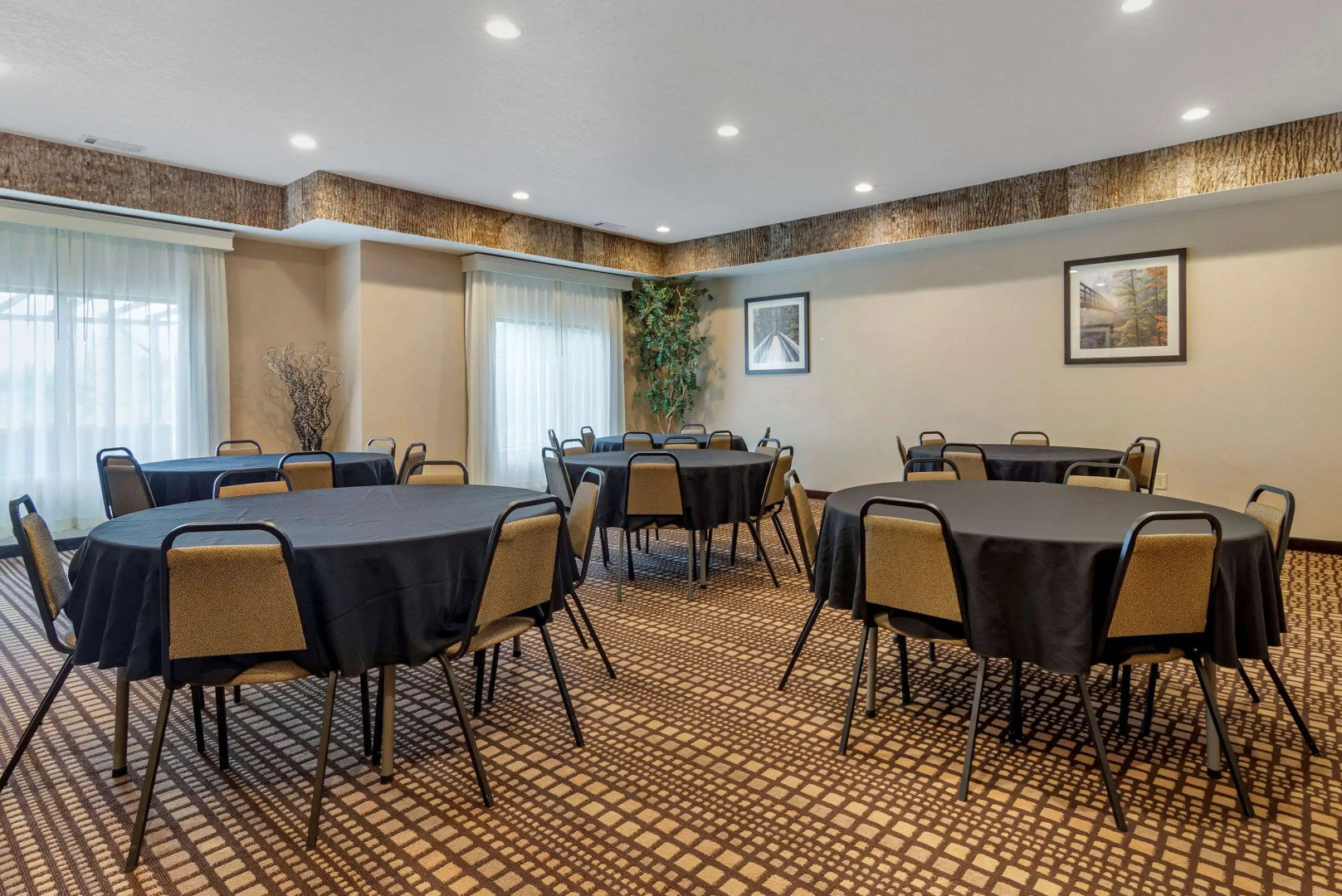 Comfort Inn & Suites Blue Ridge