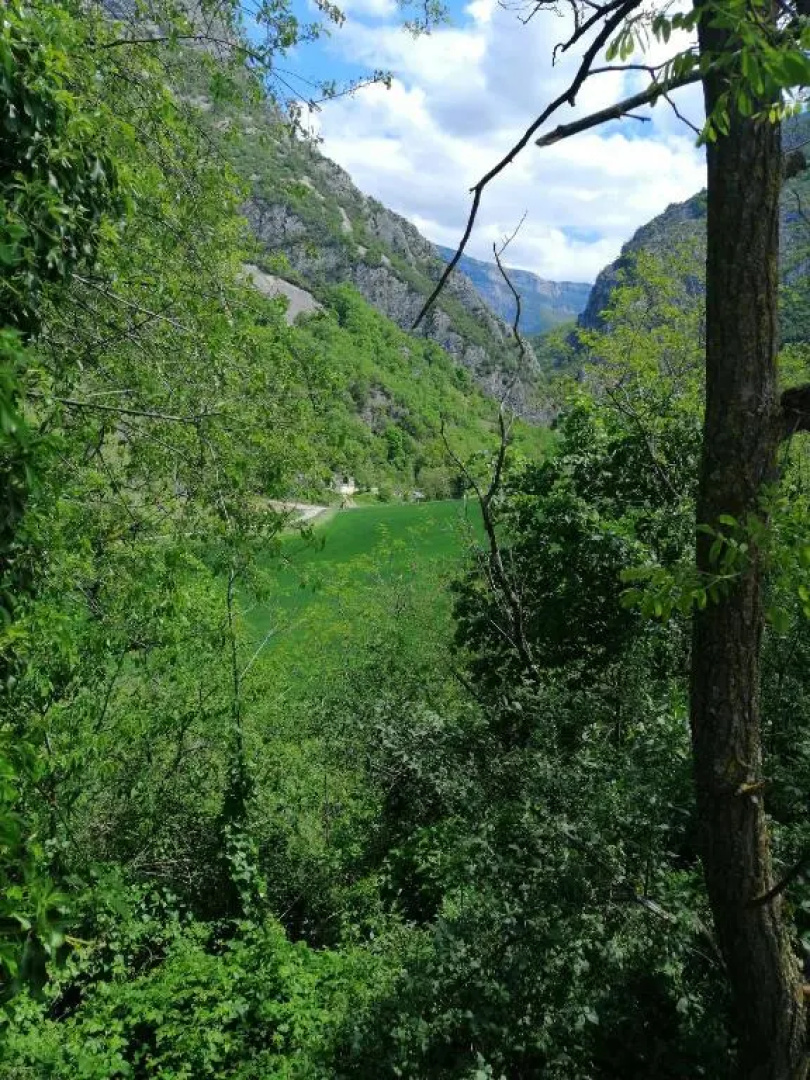 la grande chambre