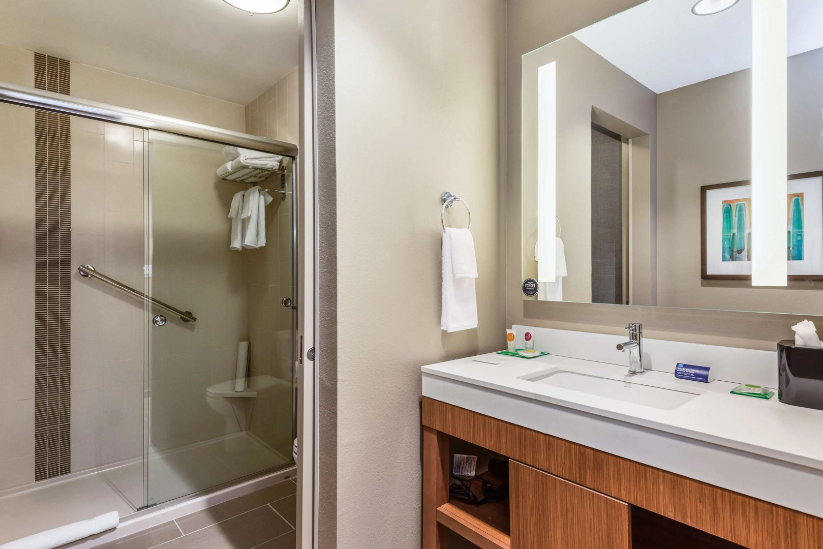 Hyatt Place Tampa/Wesley Chapel