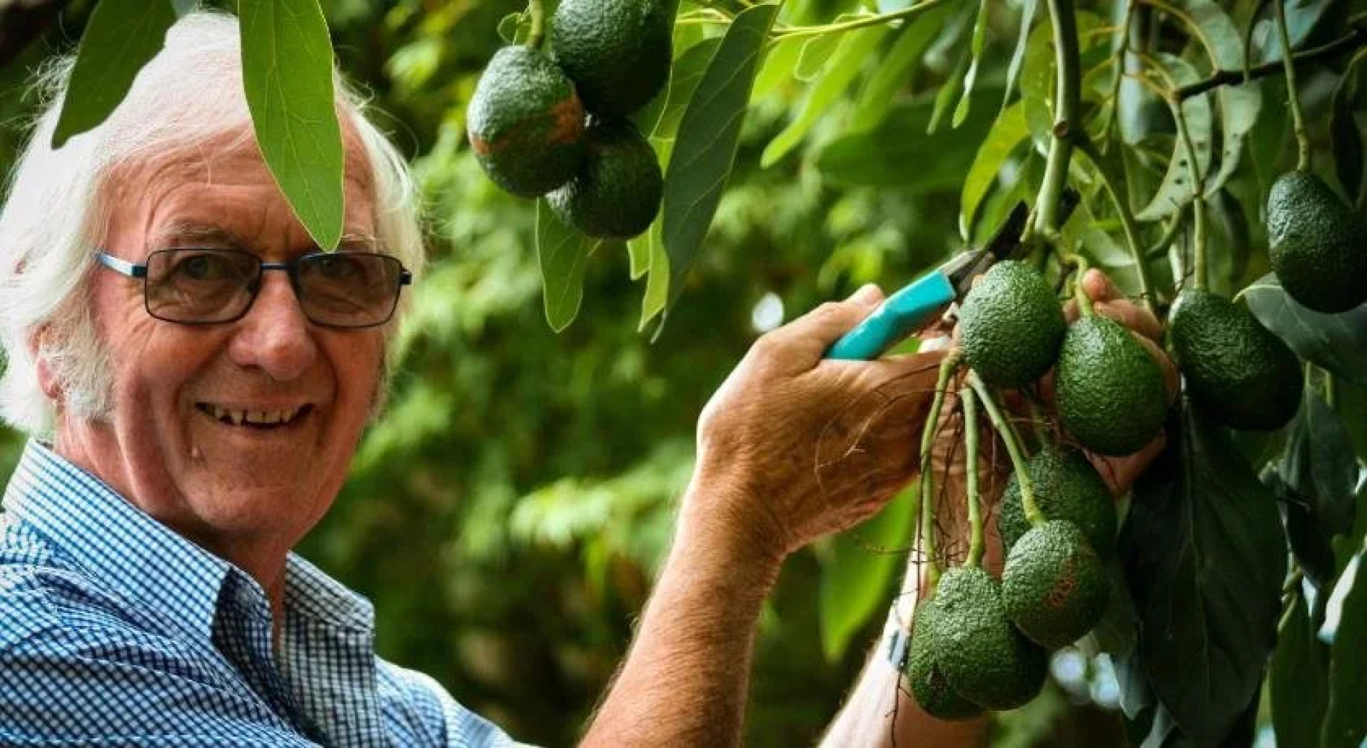 Paeroa Bed and breakfast