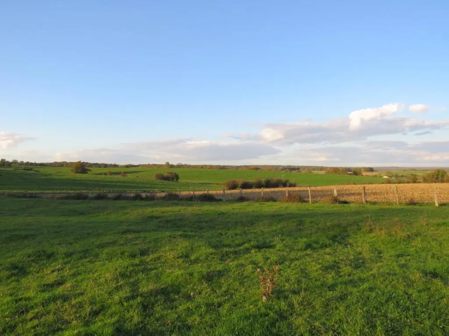 Grange D'anjeux Bed & Breakfast