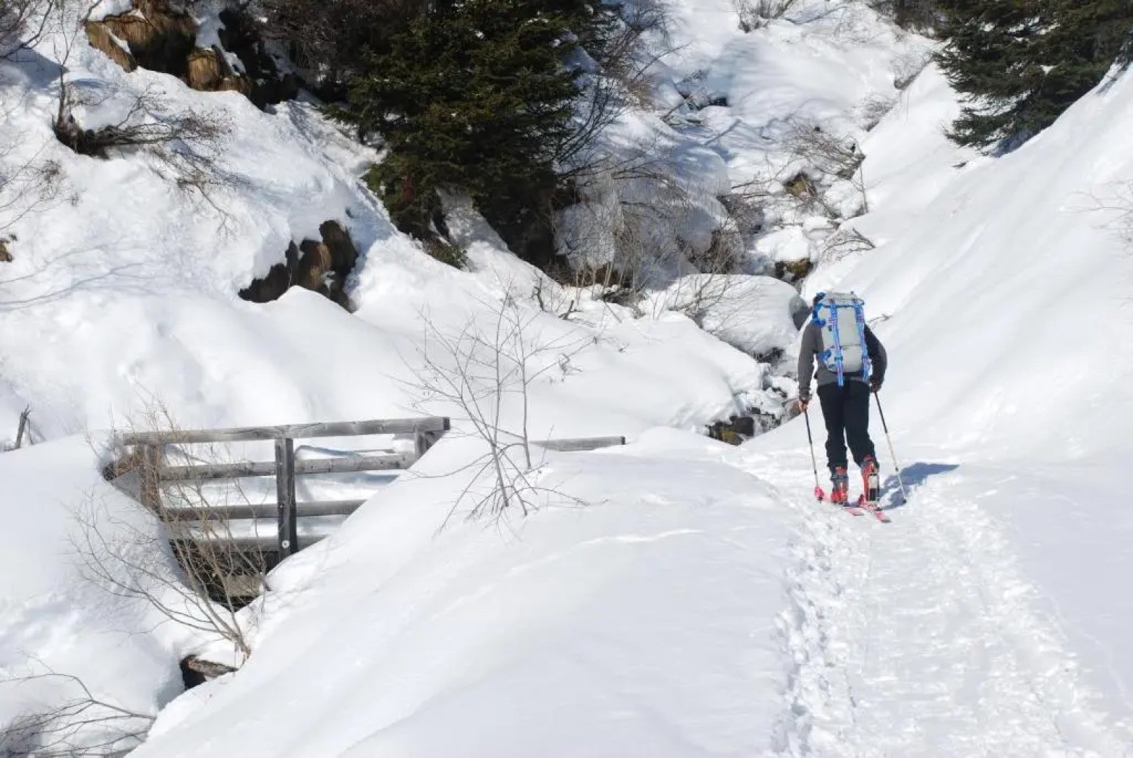 Hotel Garnì Zanella