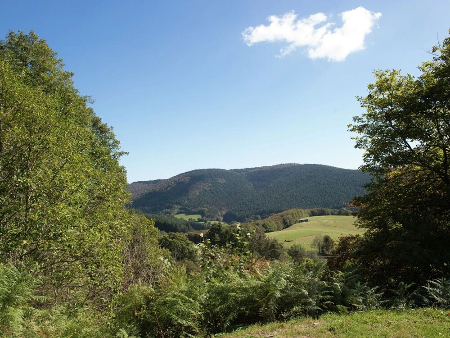 A House Suitable for Groups and Families