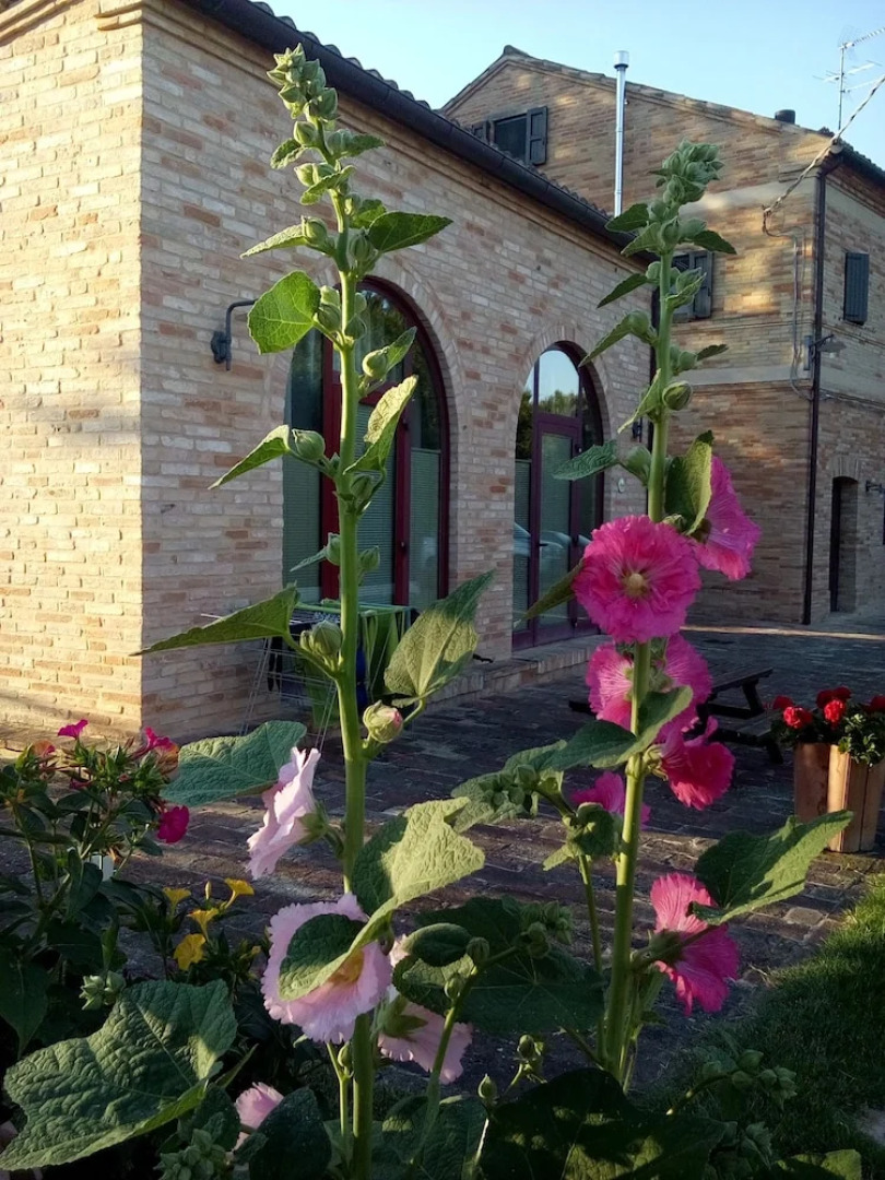 Agriturismo Forestale Luti