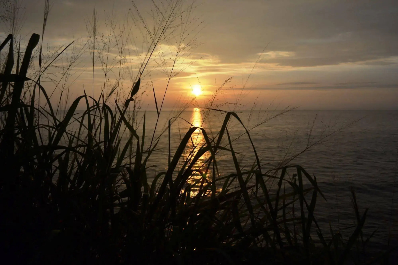 Savithri Inn Bamboo Cottages & Resorts