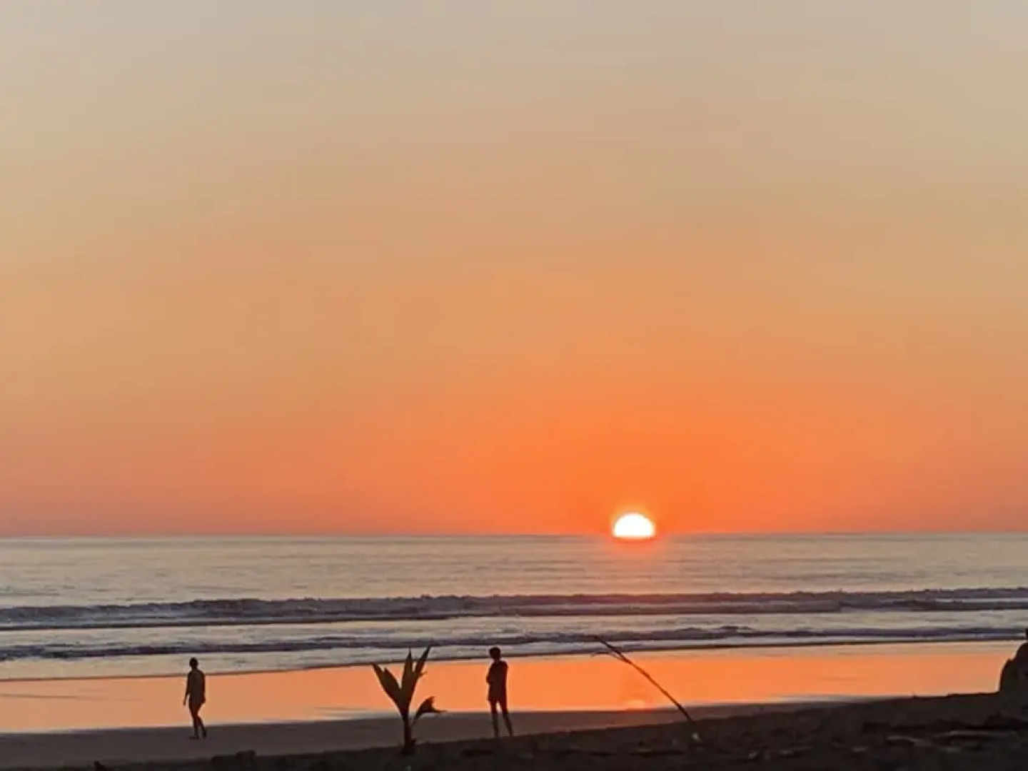 Casa Sunrise Playa Matapalo Costa Rica