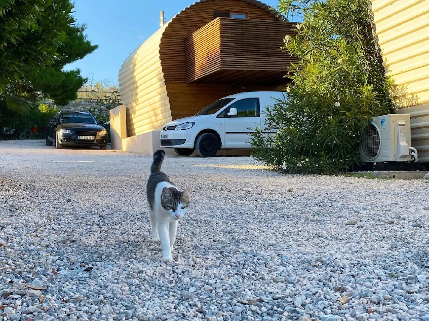 Tipi Lounge and breakfast