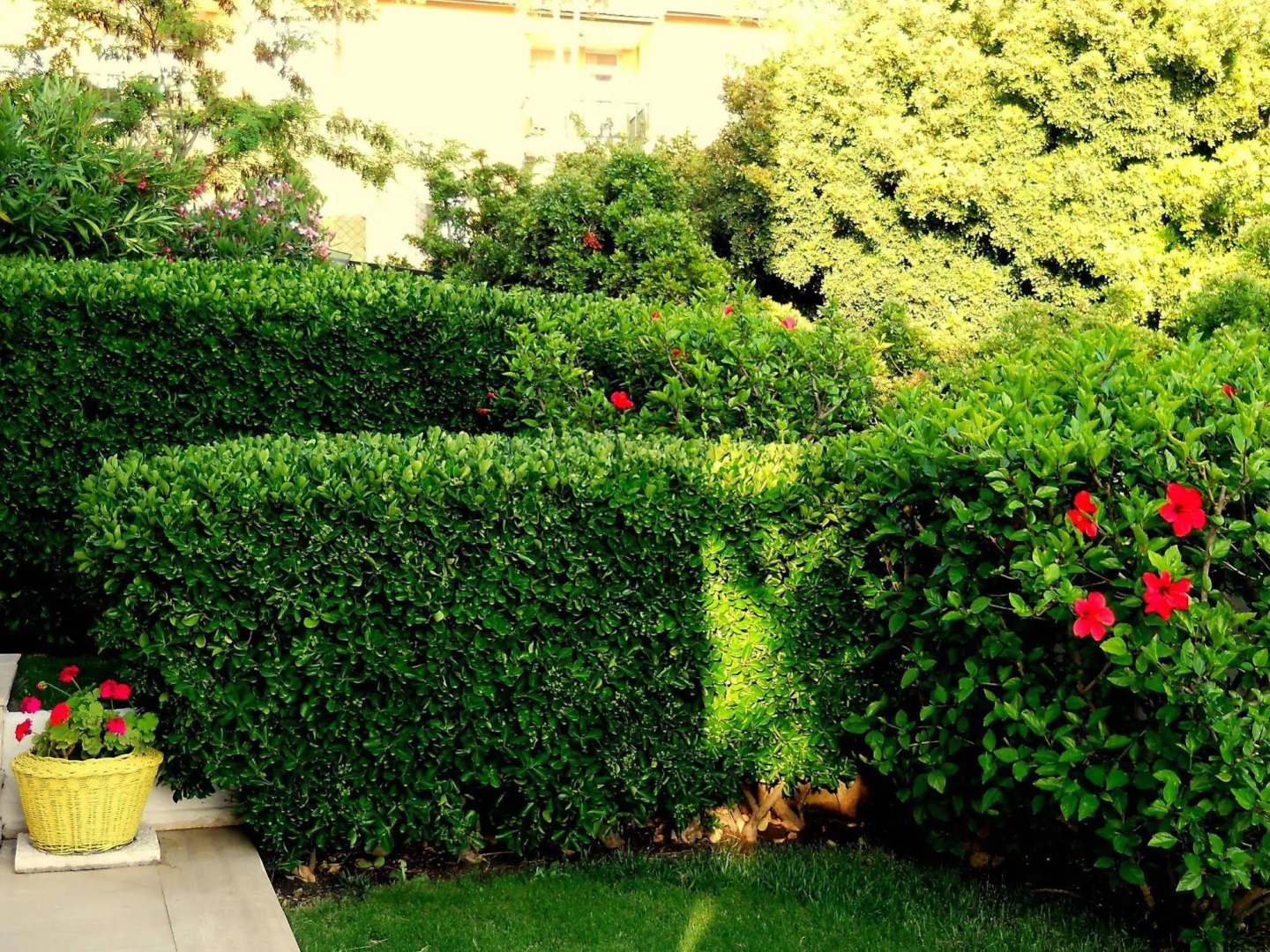 Tepe Hotel Alaçatı