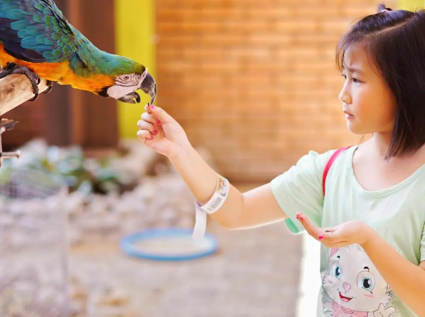 River Walk Urban Camping House