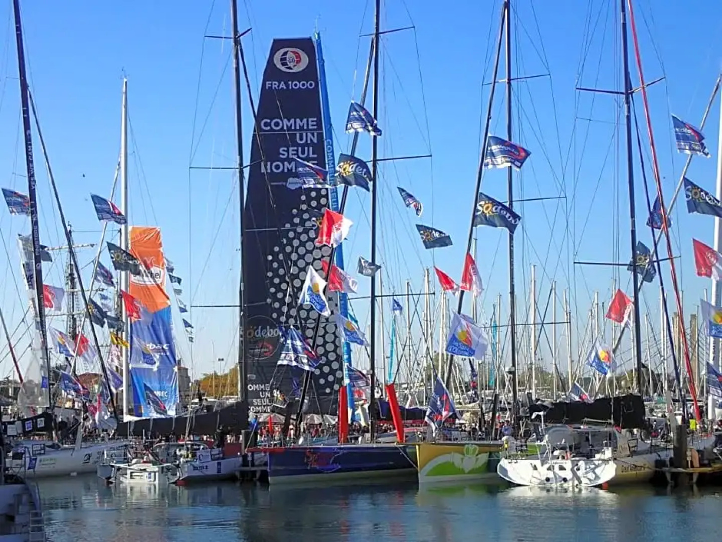 Chambre dans la pin¿