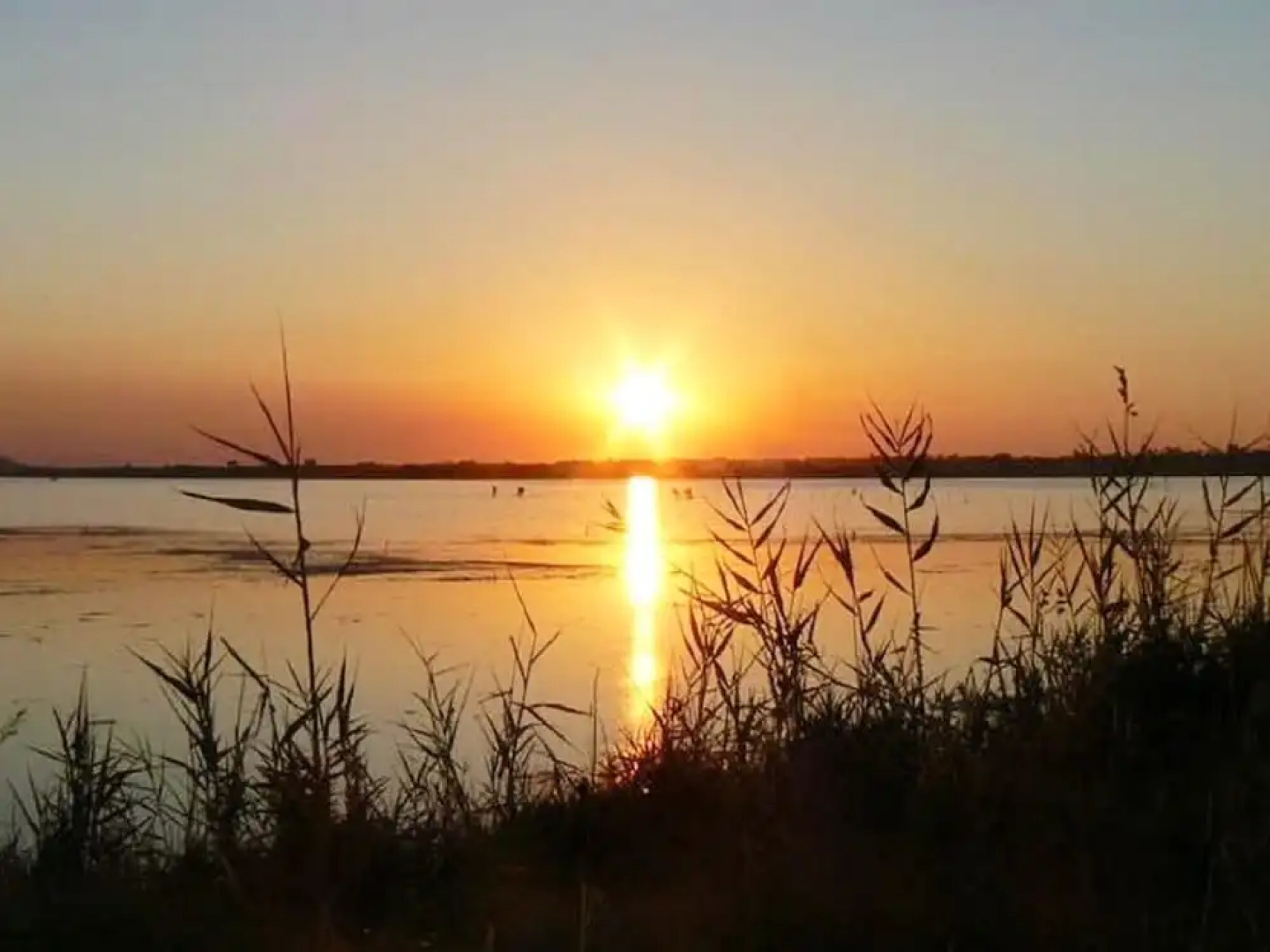 Property With 3 Bedrooms in Carpino, With Furnished Terrace - 11 km Fr