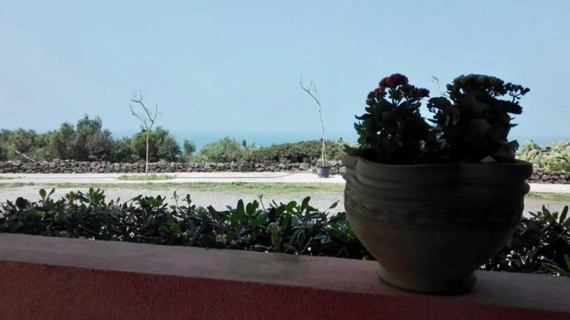 Appartamentino Jasmine