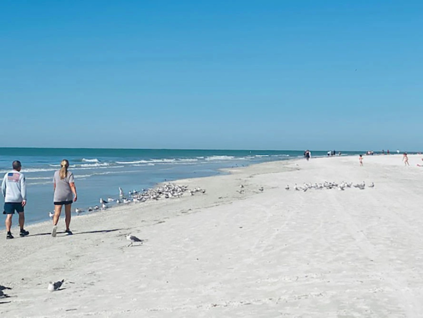 Redington Directly on the Beach Sea Rocket WiFi Parking 30