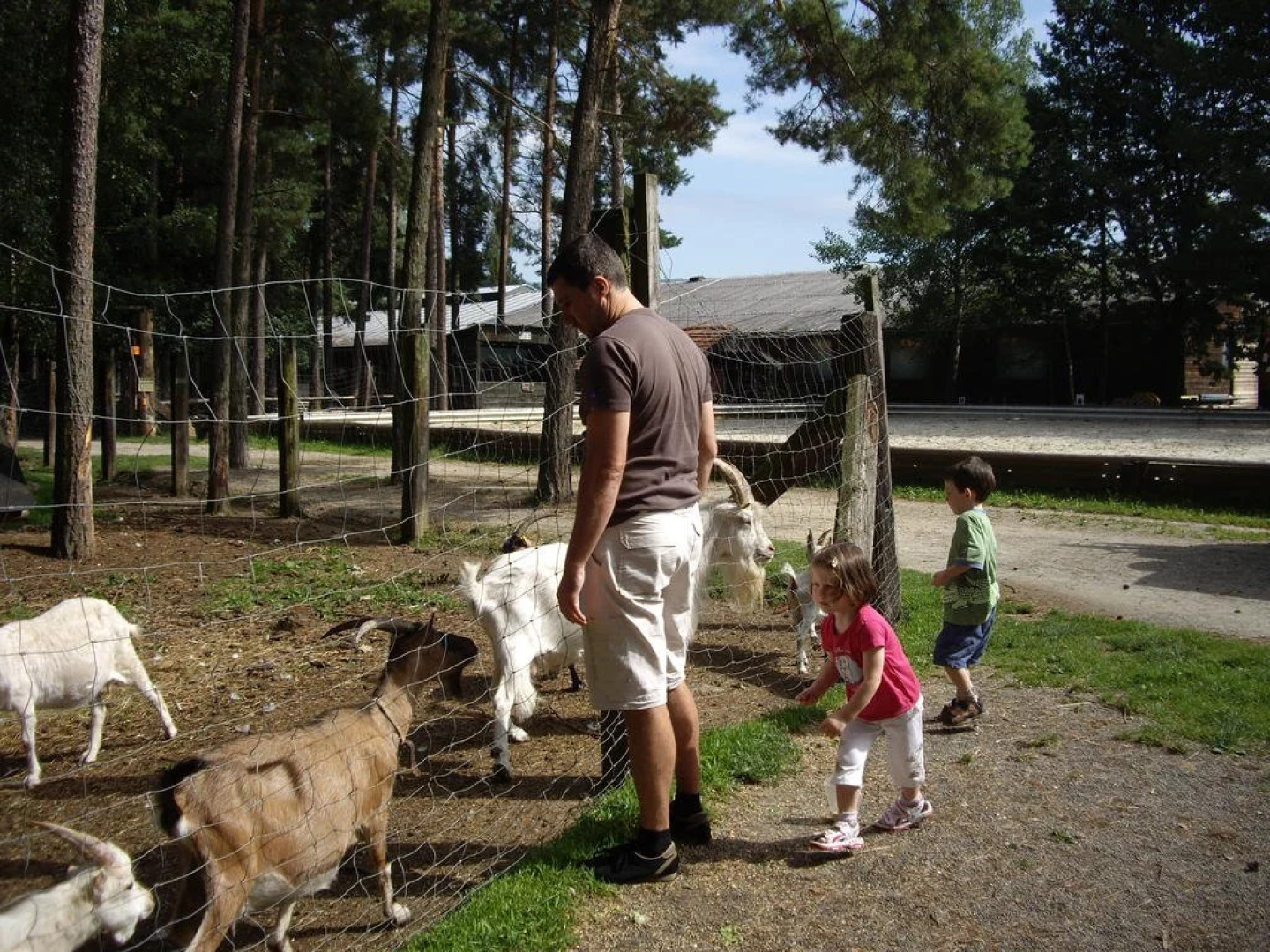 Freizeitzentrum Römerhütte