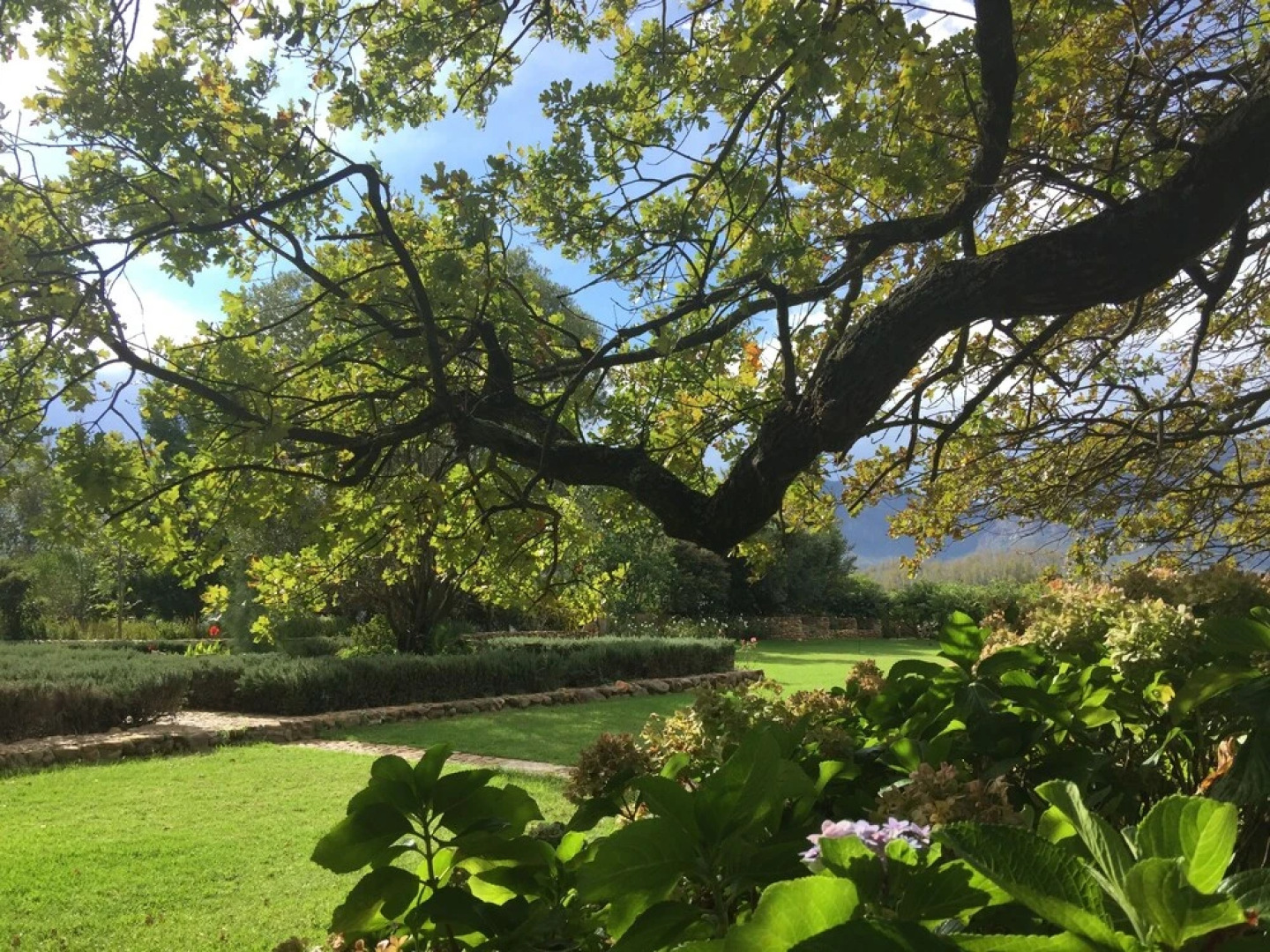 Palmiet Valley Wine Estate & Boutique Hotel