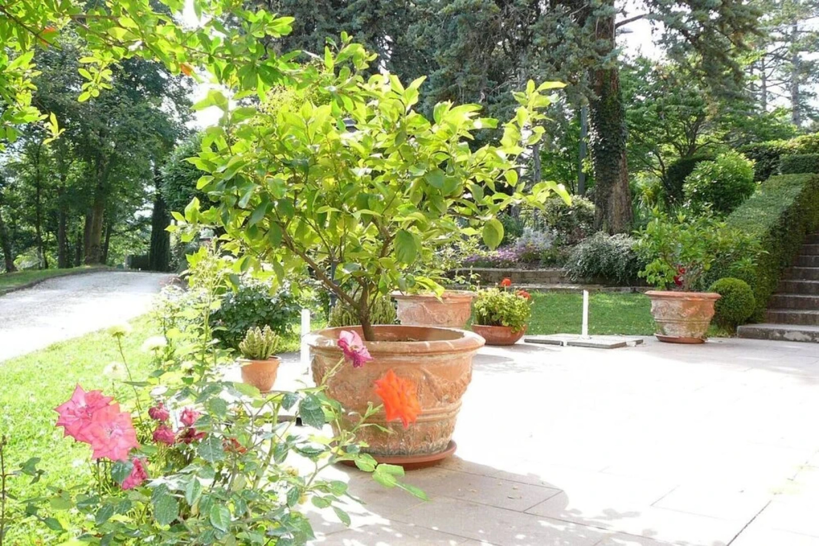 La Pergola in Castell'arquato