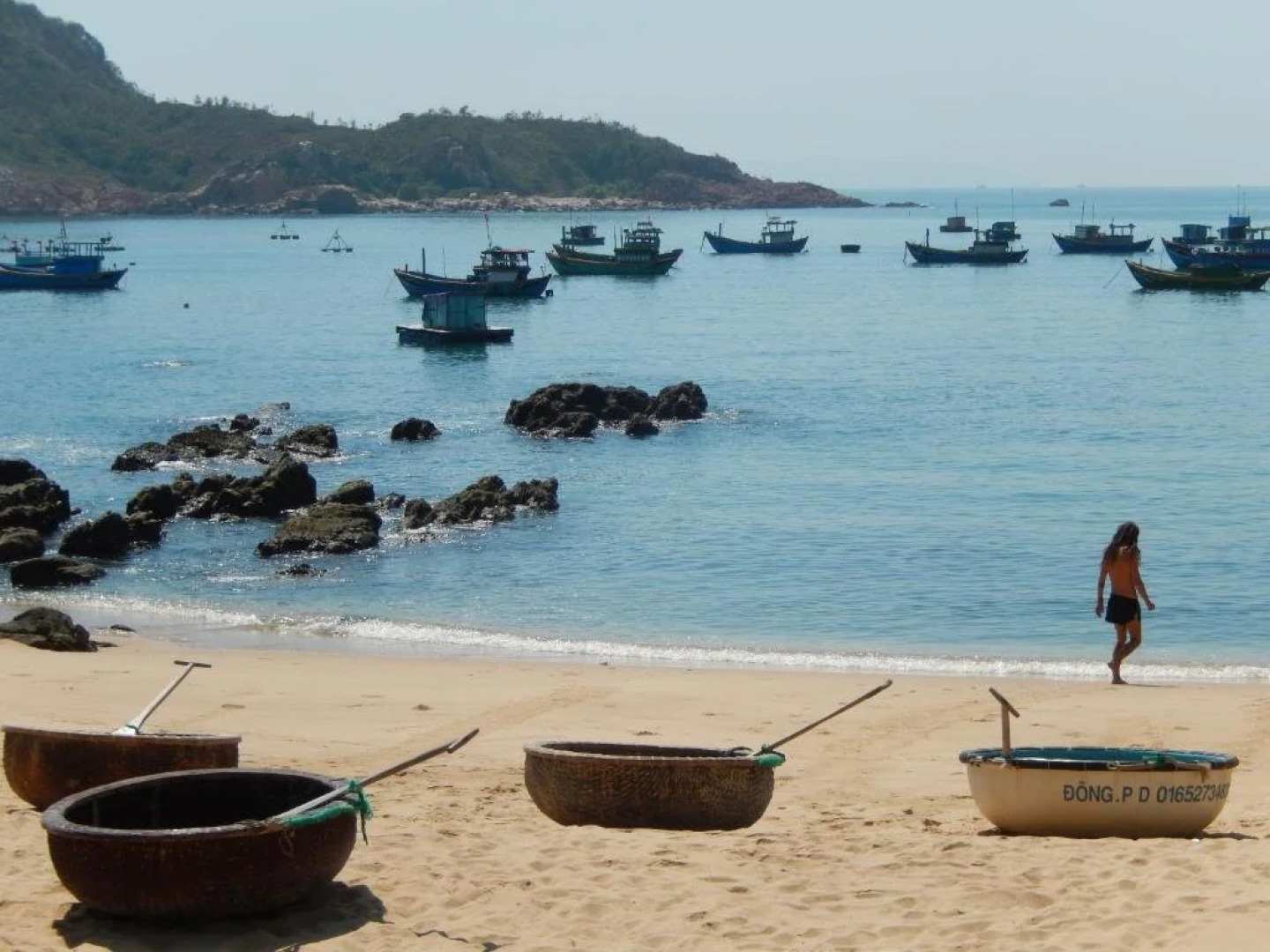 Big Tree Backpackers And Bistro