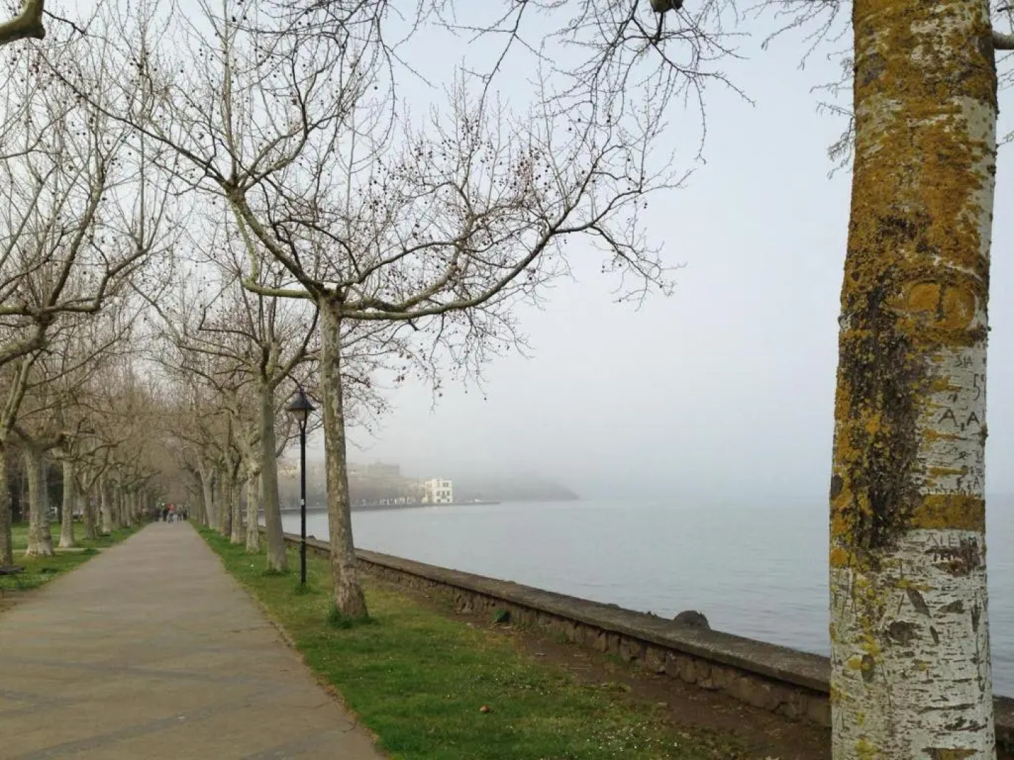 Civico 10 - Appartamento sul Lago