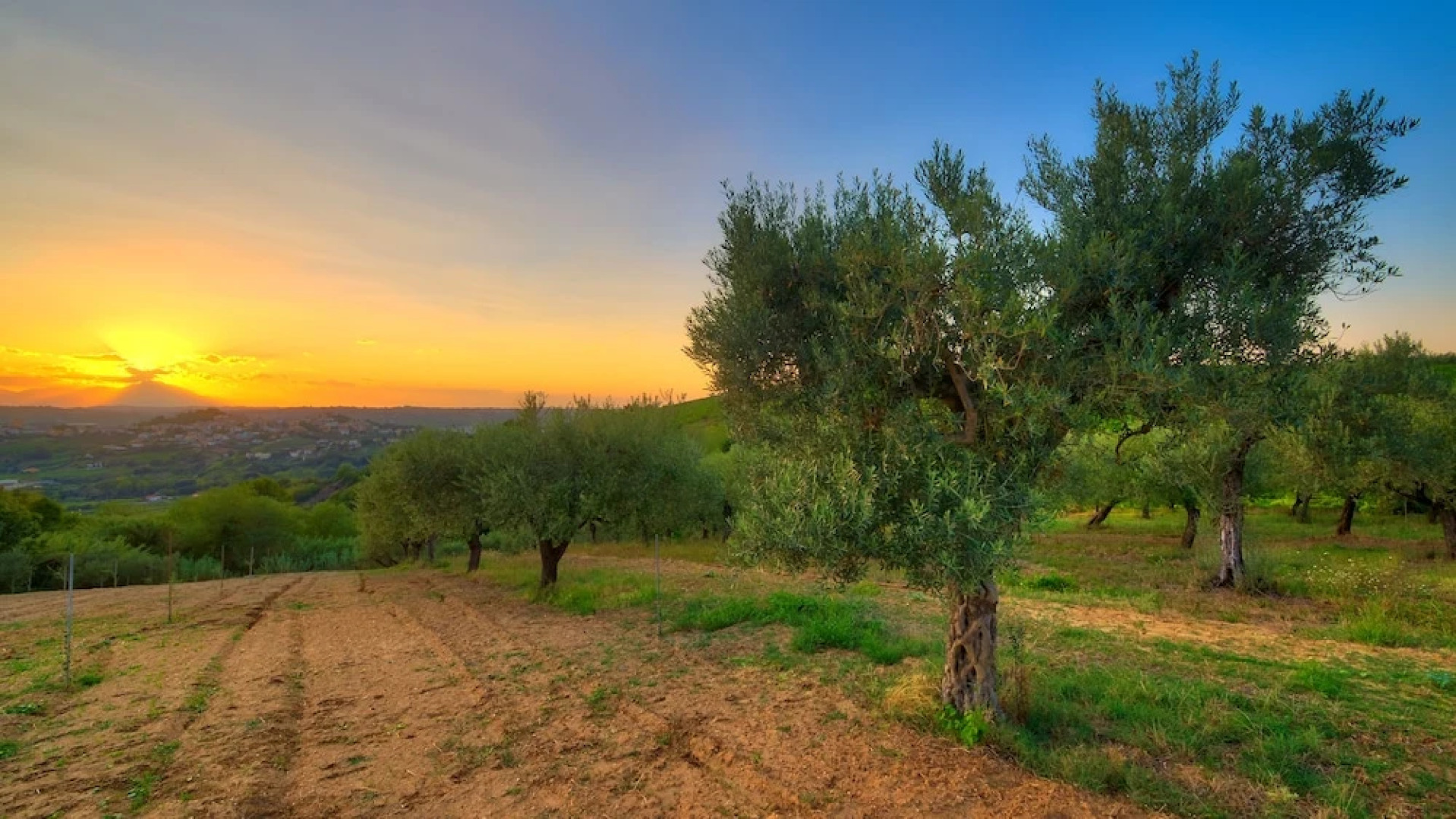 B&B la casa del vino