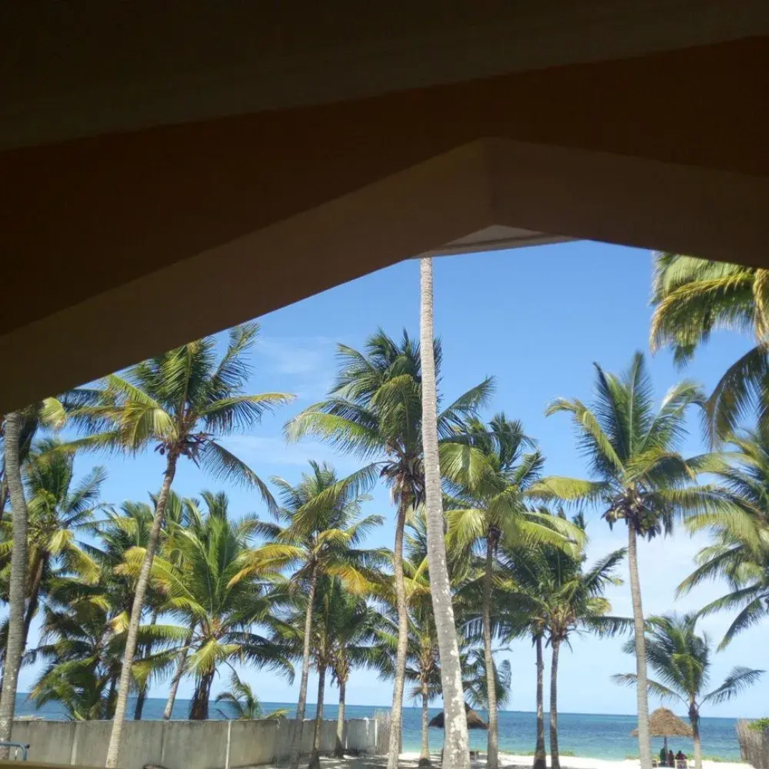 Bwejuu Beach Palm Villa
