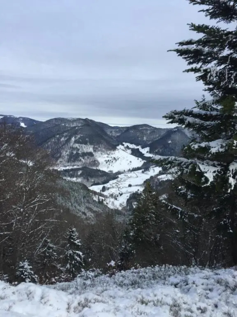 Ferienwohnung mit Charme I